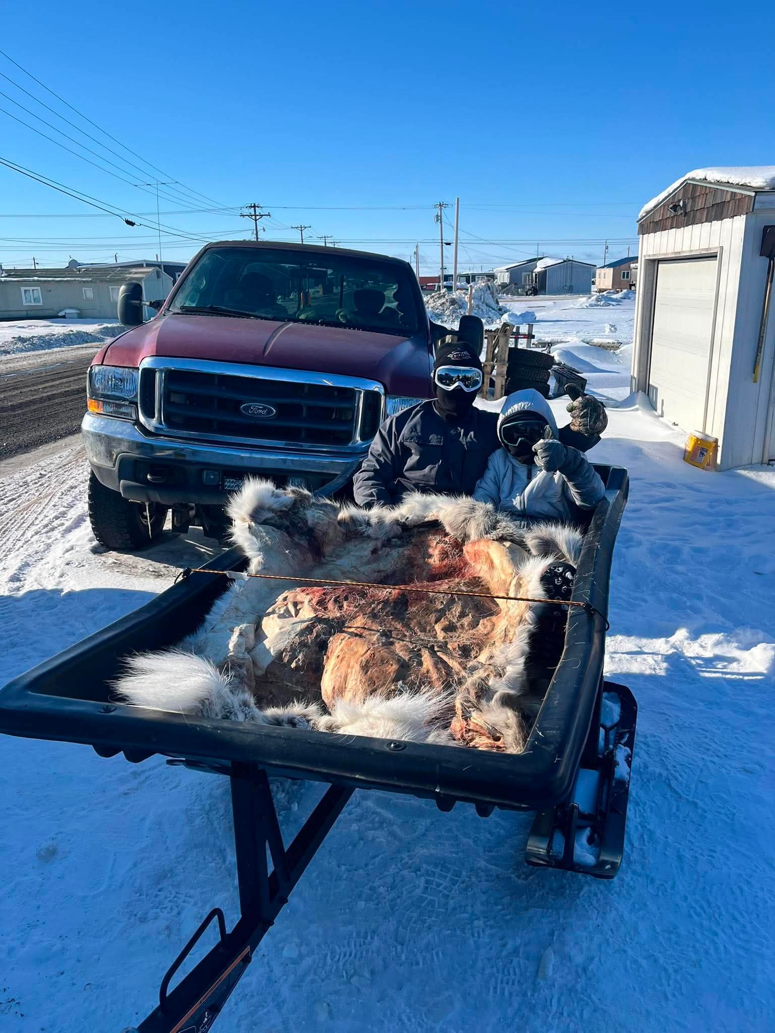 Close-up of the passenger sled fitted with caribou hides for warmth during a winter Point Barrow tour