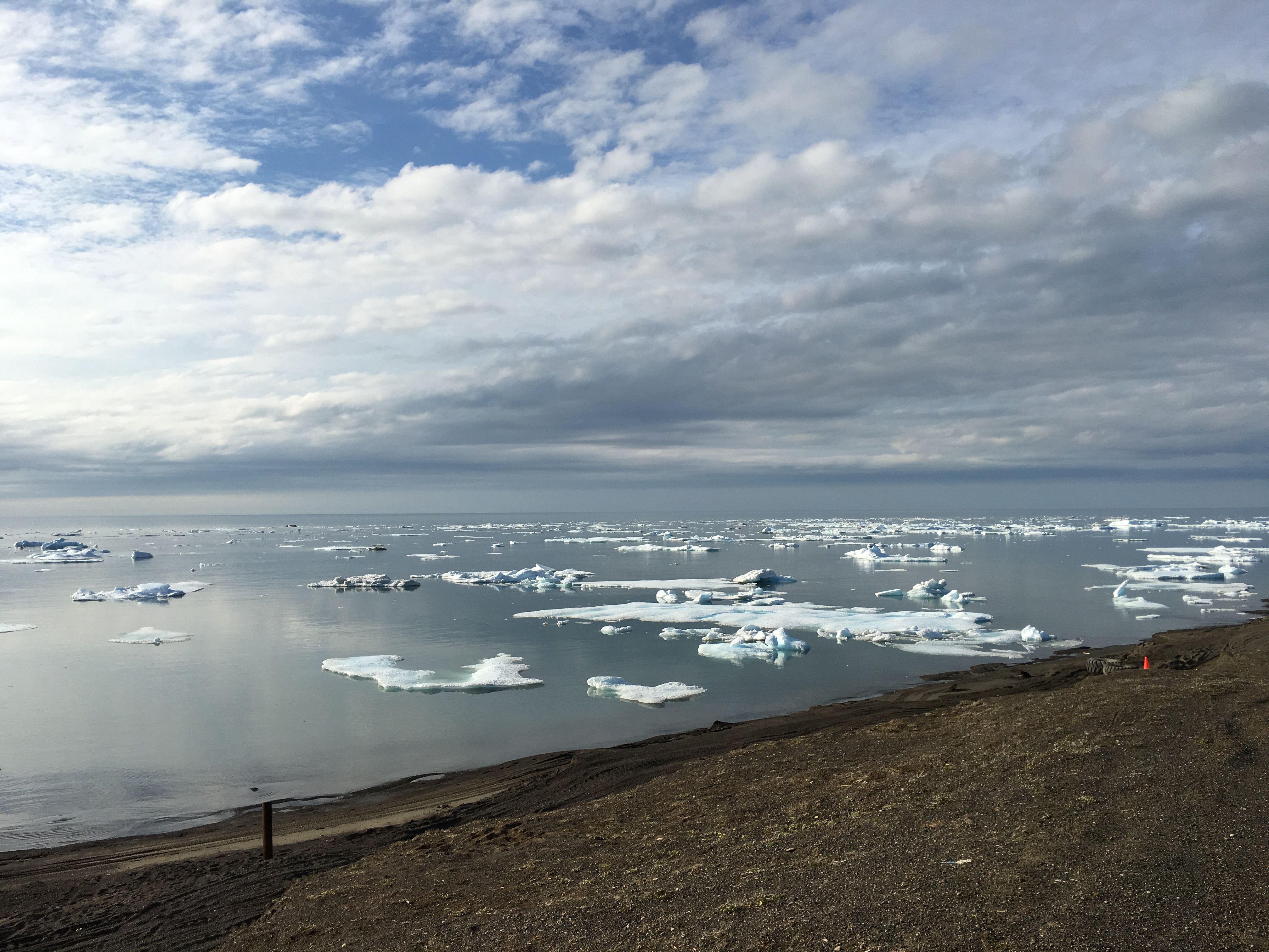 Arctic Ocean with sea ice floes stretching to the horizon